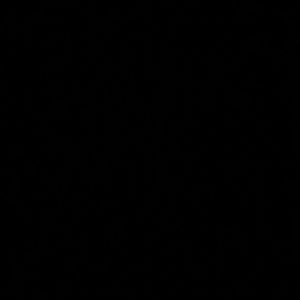 Meet your Posher, Skyy